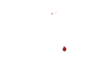 citylion-lr.com